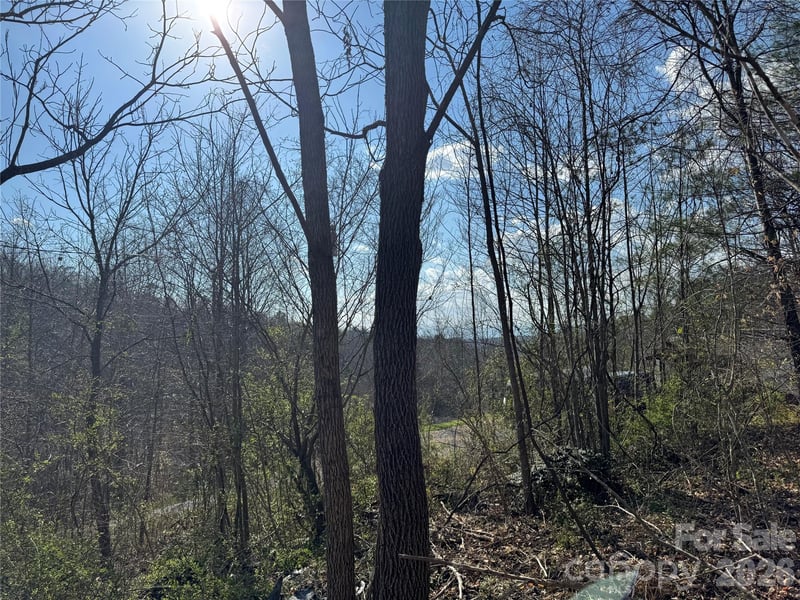 9999 Ox Creek Rd, Weaverville, NC 28787