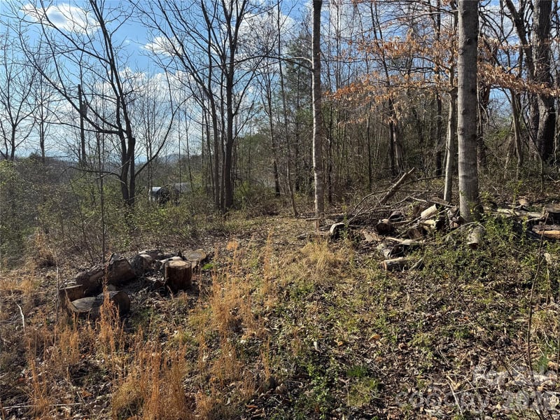 9999 Ox Creek Rd, Weaverville, NC 28787