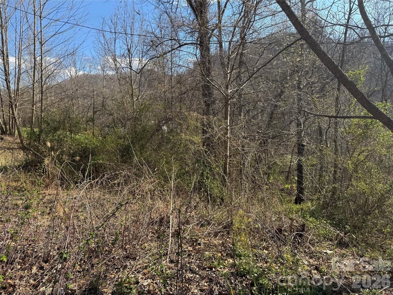 9999 Ox Creek Rd, Weaverville, NC 28787