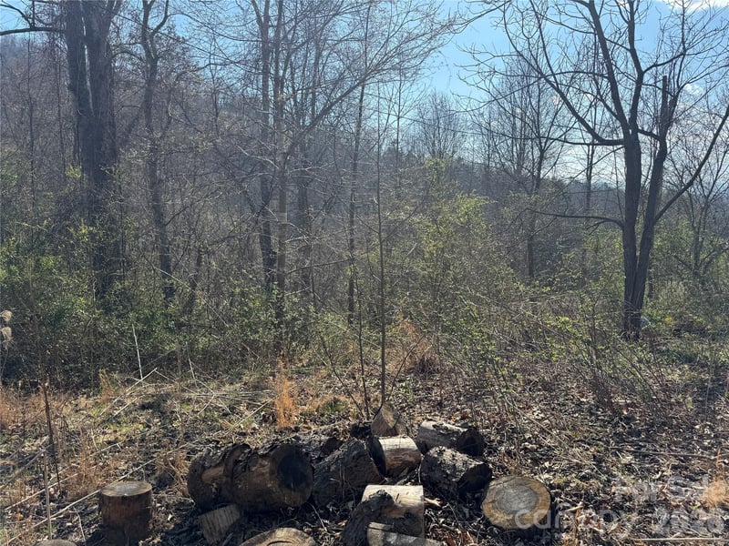 9999 Ox Creek Rd, Weaverville, NC 28787