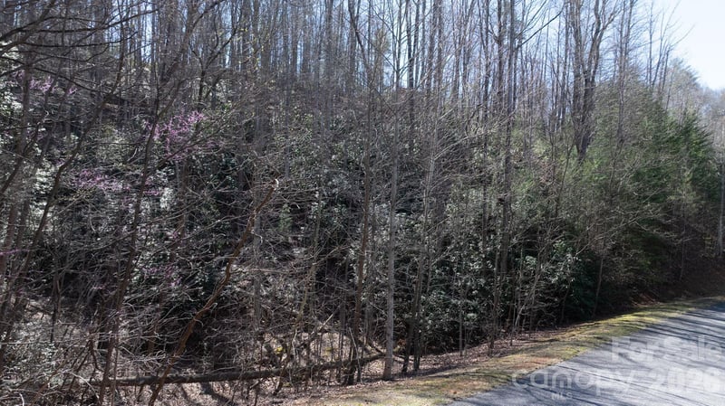 1342 High Trail Dr Lot 27-11, Nebo, NC 28761