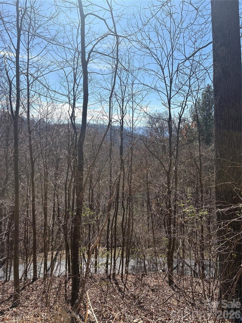 344 Running Deer Ln #71, Mars Hill, NC 28754