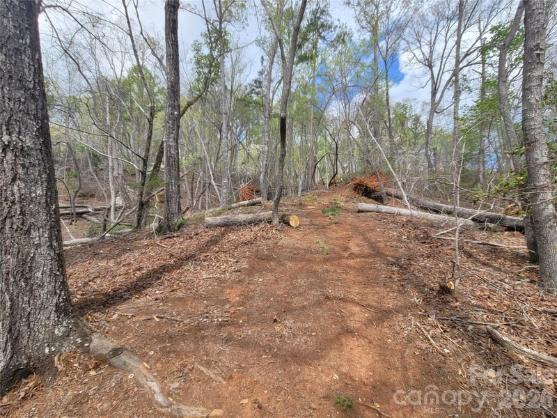Springhill Dr, Rutherfordton, NC 28139