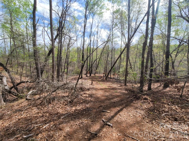 Springhill Dr, Rutherfordton, NC 28139