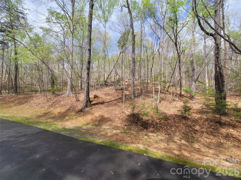 Springhill Dr, Rutherfordton, NC 28139