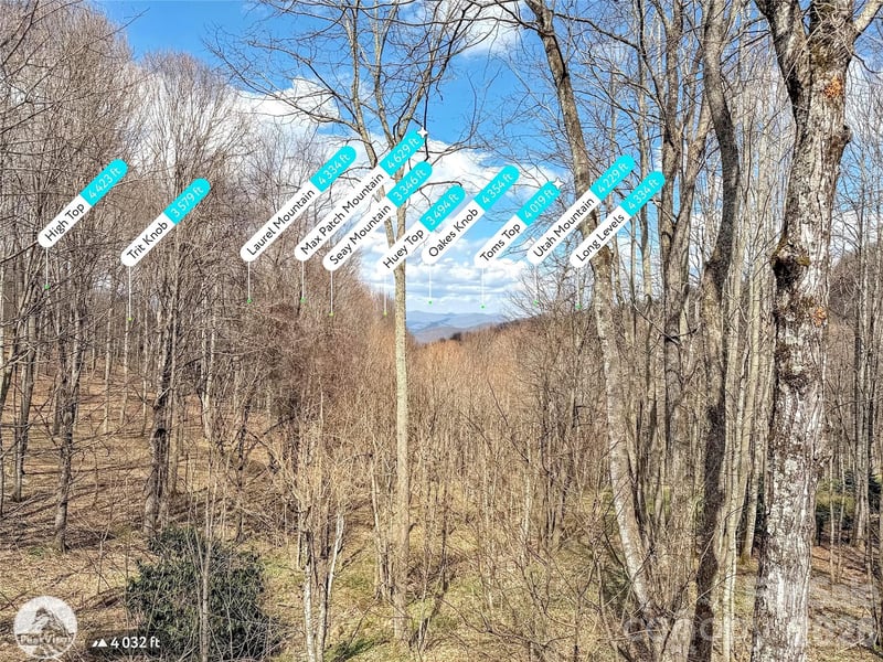 1664 Tawodi Trl, Maggie Valley, NC 28751