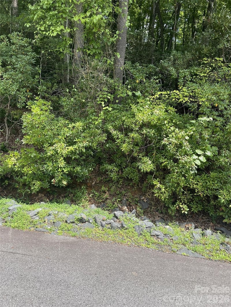 00 Winterstar Loop #17, Burnsville, NC 28714