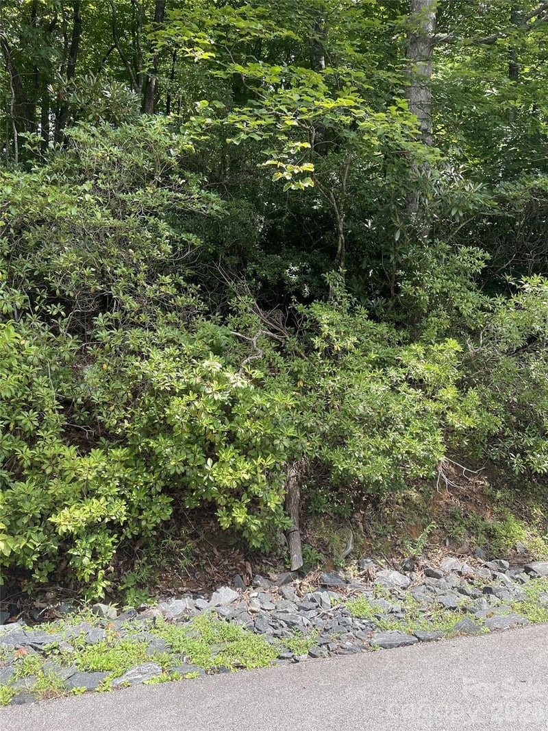 00 Winterstar Loop #17, Burnsville, NC 28714