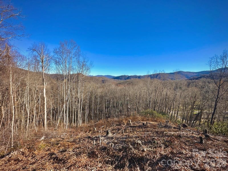 3 Mountain Watch Dr, Waynesville, NC 28785