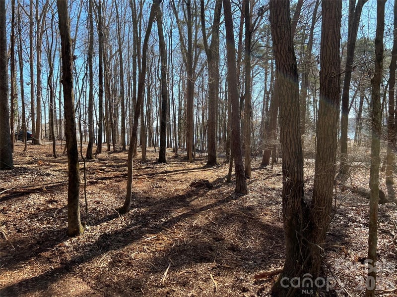 3883 Marlette Dr, York, SC 29745