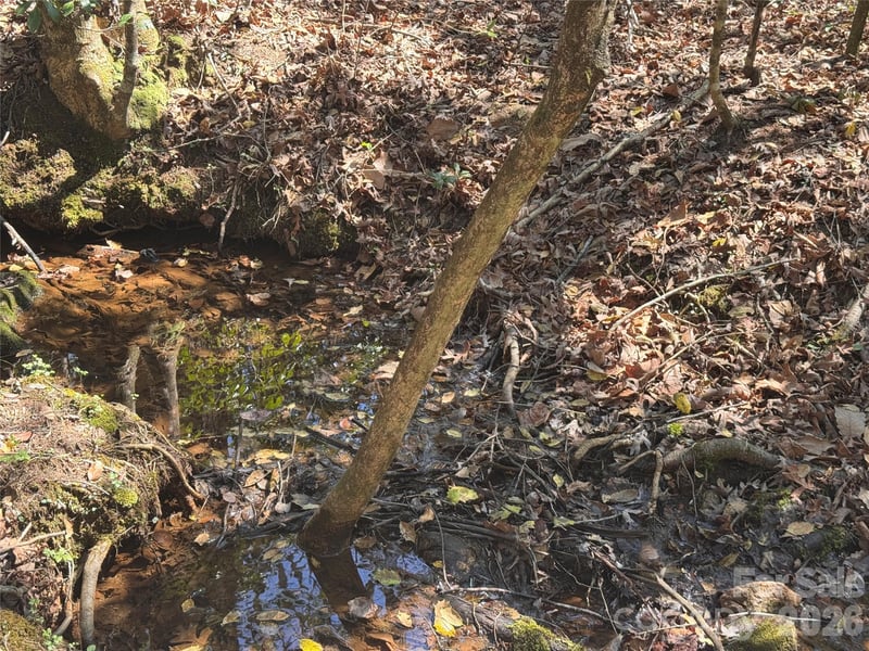 335 Woodrow Hoyle Rd, Casar, NC 28020