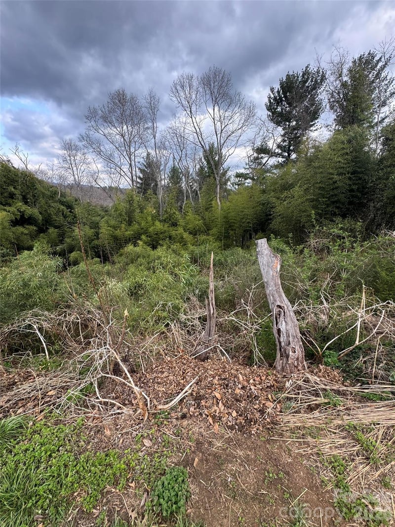 38 Belleair Rd, Asheville, NC 28806