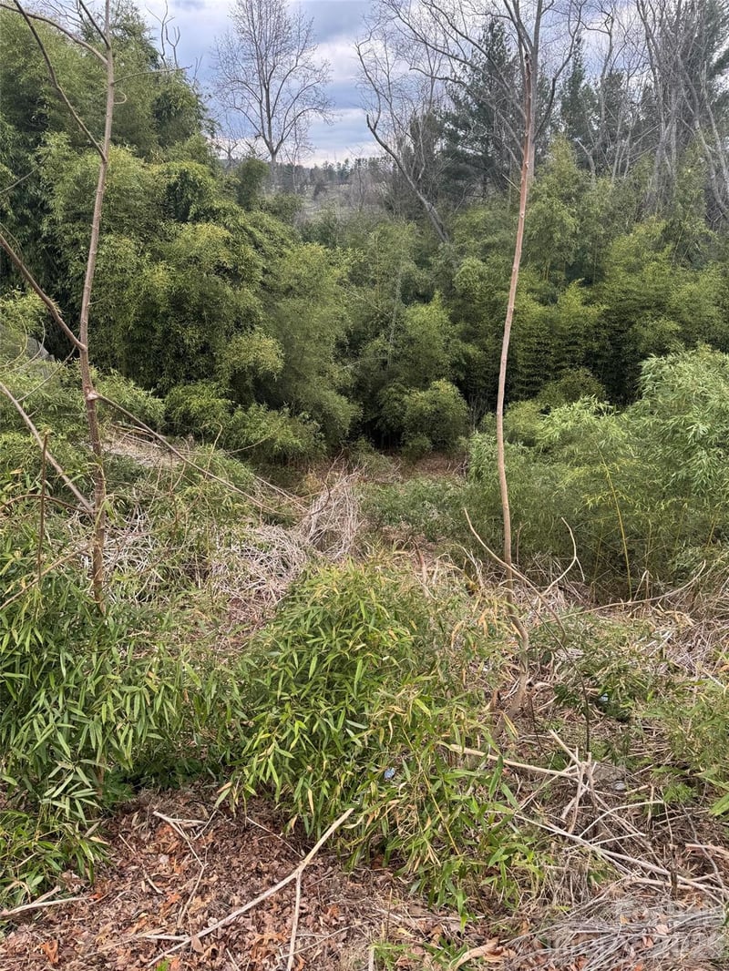 34 Belleair Rd, Asheville, NC 28806