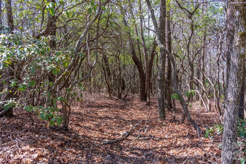 Lot 14 Lakeside Dr, Lake Toxaway, NC 28747