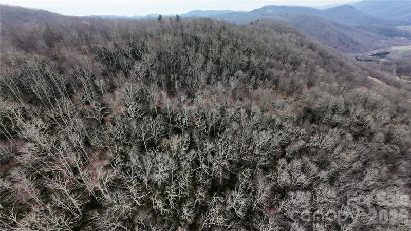 TBD Chardonnay Ct #1, Newland, NC 28657