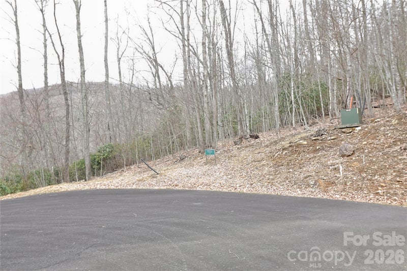 TBD Chardonnay Ct #1, Newland, NC 28657
