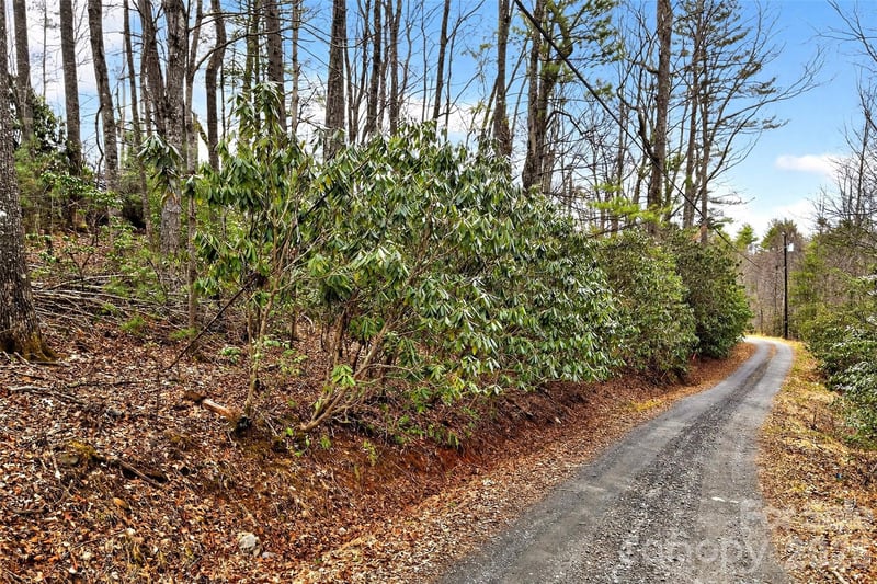 TBD Red Bird Rd, Spruce Pine, NC 28777