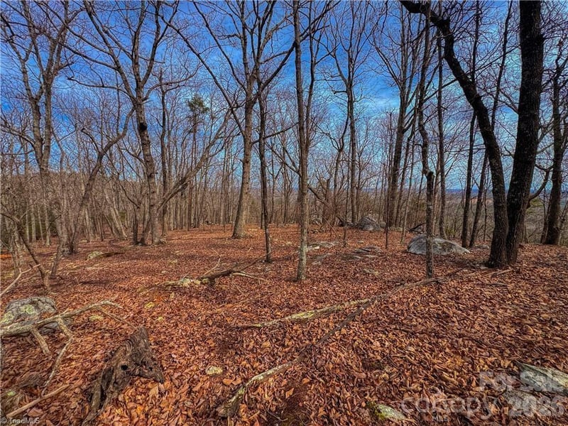 1026 Sierra Trace Rd, Denton, NC 27239