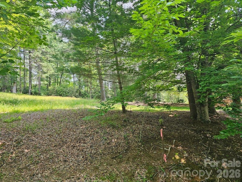 A3 Allison Creek Trl #A3, Brevard, NC 28712