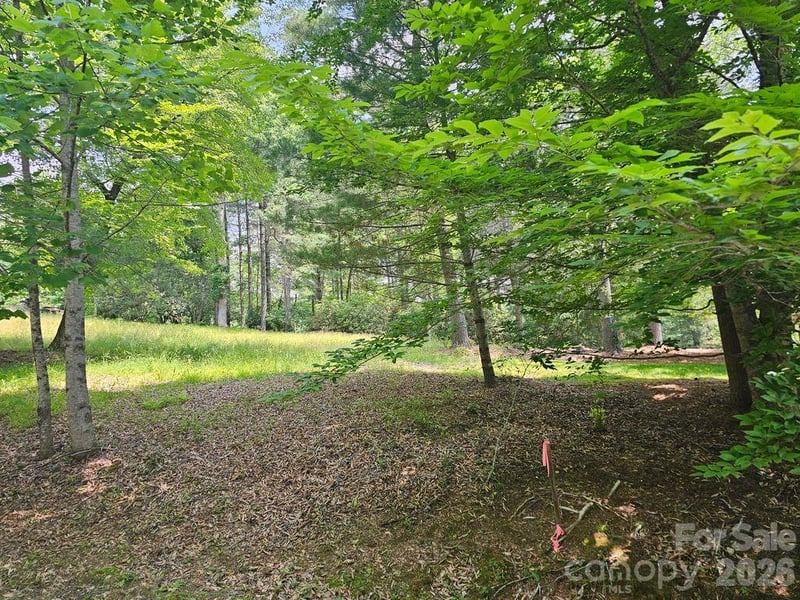 A3 Allison Creek Trl #A3, Brevard, NC 28712