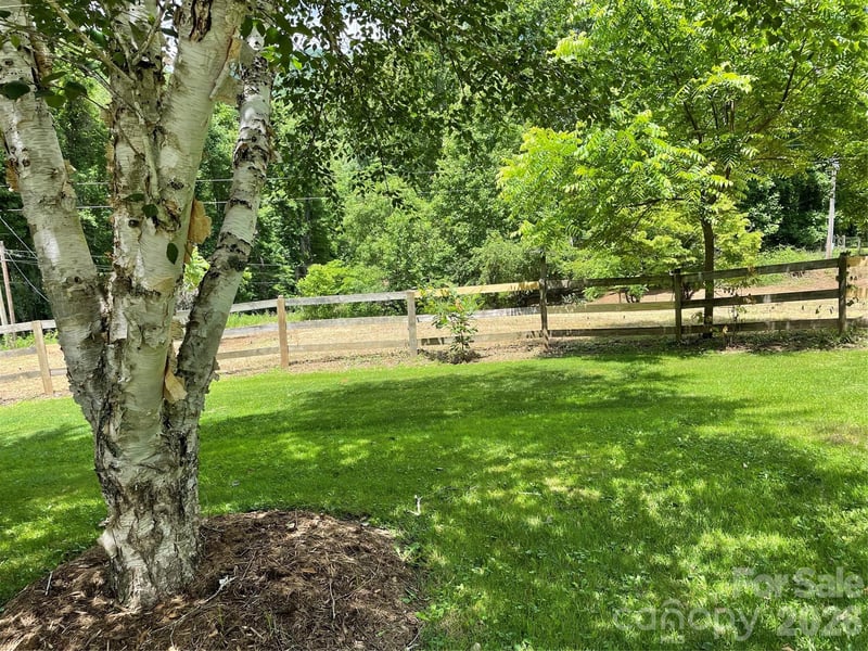 11820 State Highway 197 None, Burnsville, NC 28714
