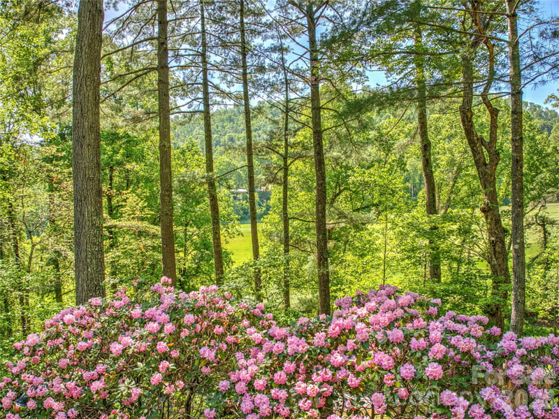 200 Robinhood Rd, Asheville, NC 28804