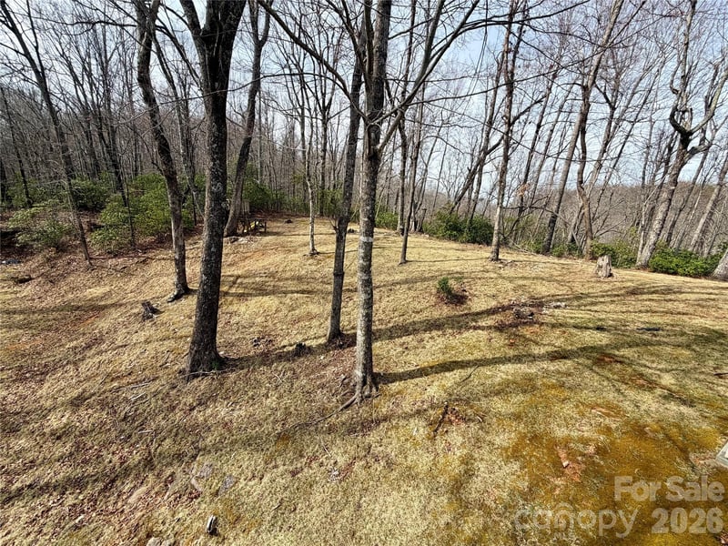 288 Willow Ln, Rosman, NC 28772