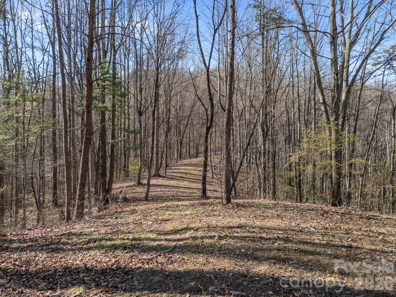 9999 Hidden Cove Rd, Leicester, NC 28748