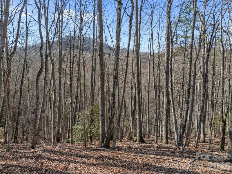 9999 Hidden Cove Rd, Leicester, NC 28748