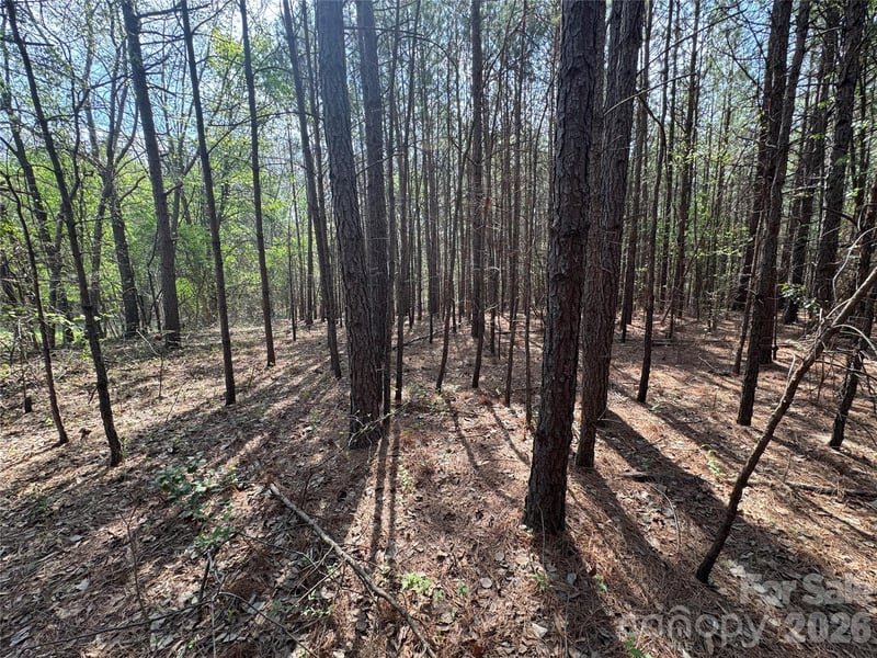 2228 Sam Newell Rd, Matthews, NC 28105