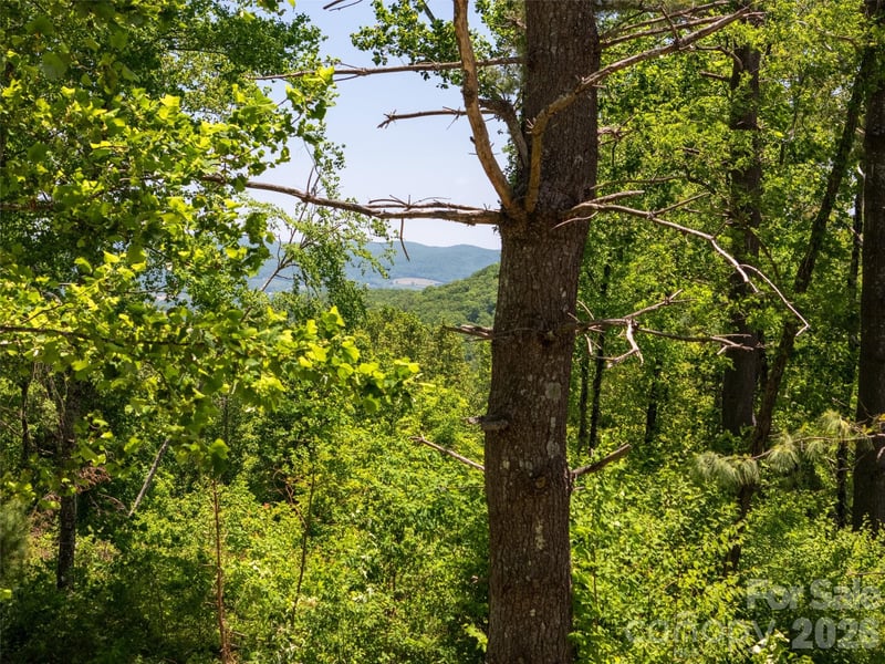 189 Dancing Bear Dr, Hendersonville, NC 28792