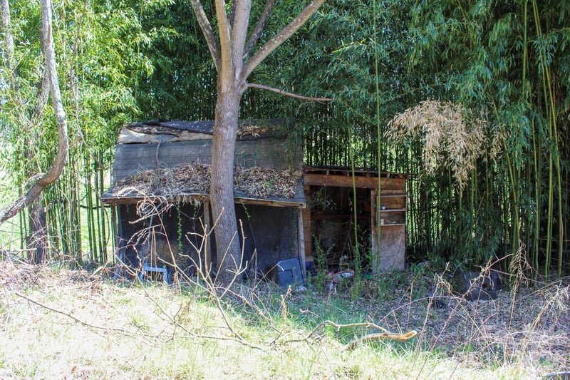 1293 Lake Logan Rd, Canton, NC 28716