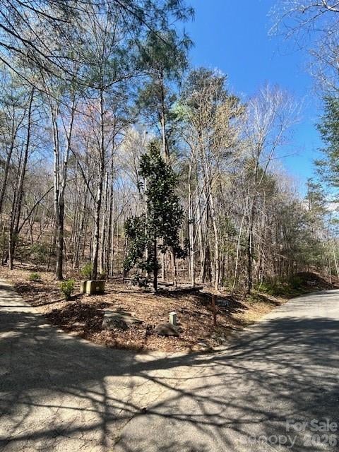 Lot 51 Fairway Dr, Lake Lure, NC 28746
