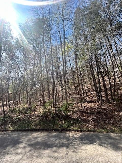 Lot 51 Fairway Dr, Lake Lure, NC 28746