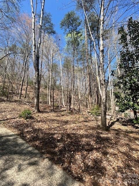 Lot 51 Fairway Dr, Lake Lure, NC 28746
