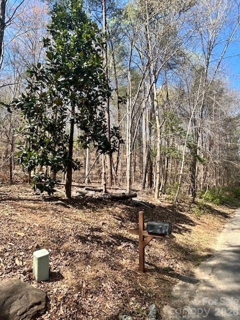 Lot 51 Fairway Dr, Lake Lure, NC 28746