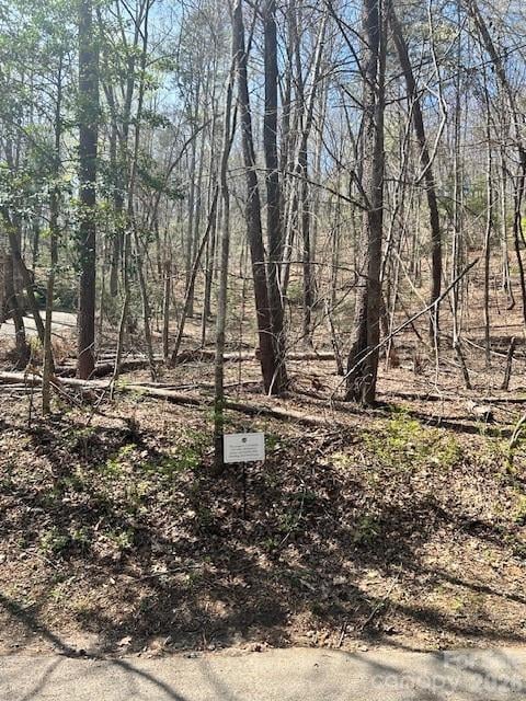 Lot 51 Fairway Dr, Lake Lure, NC 28746
