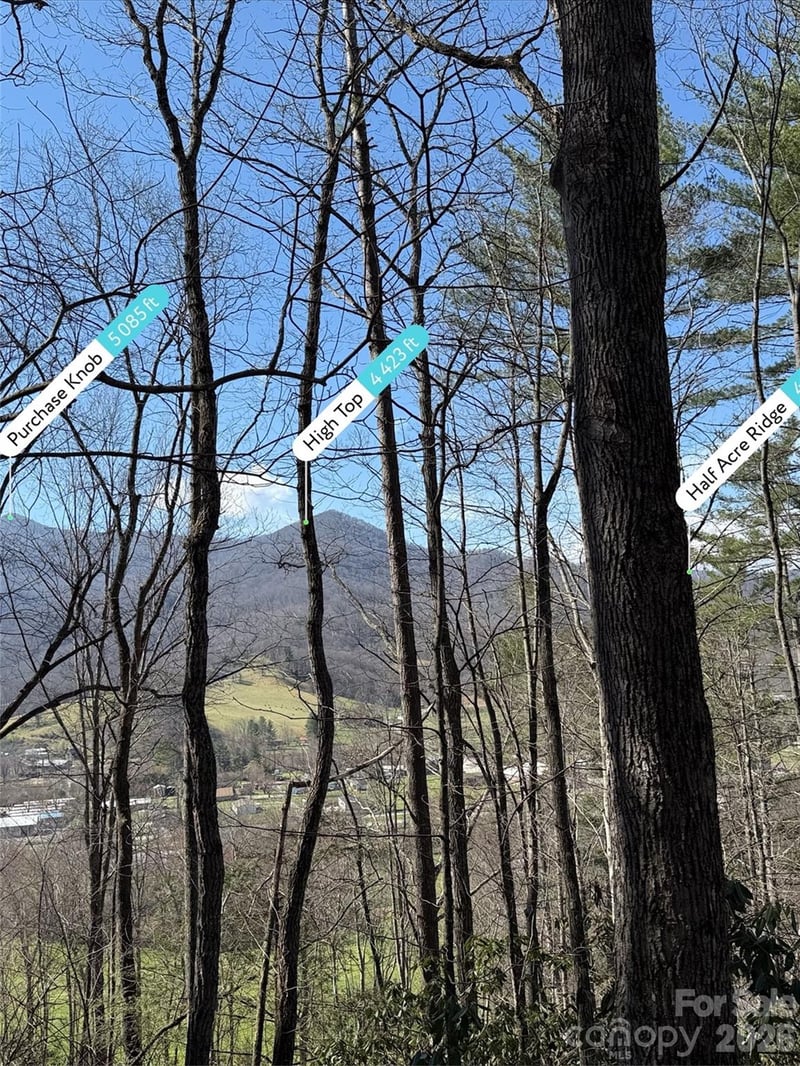 204 Minerva Dr #11, Waynesville, NC 28785