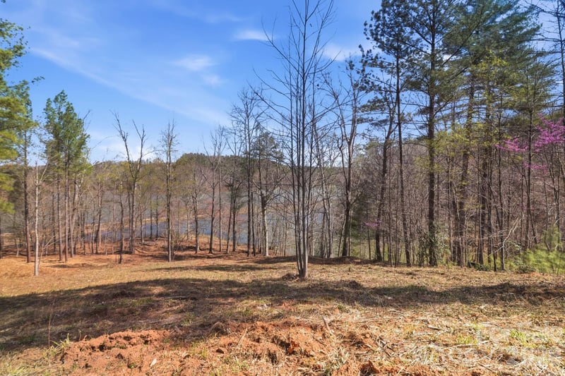 193 Table Rock Tc #129, Valdese, NC 28690