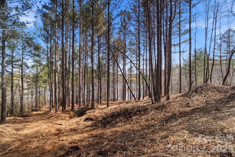 199 Table Rock Tc #130, Valdese, NC 28690