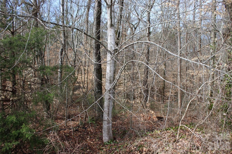 Lot 13 Weatherfield Dr #13, Lincolnton, NC 28092