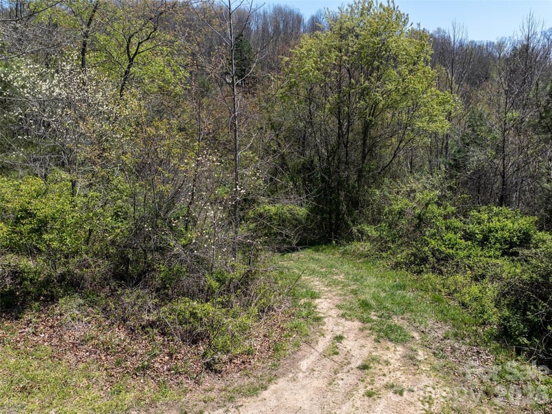 Lot 43 Sunnybrook Trl, Clyde, NC 28721