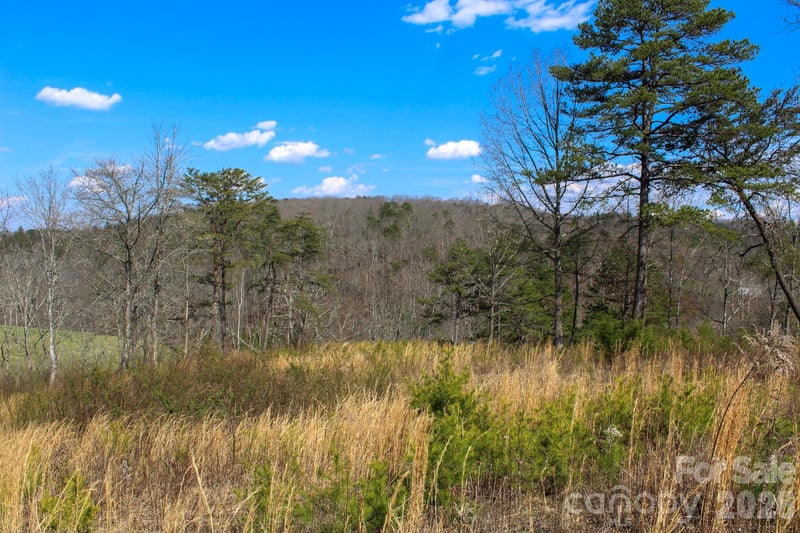 99999 Fletcher Martin Rd, Alexander, NC 28701