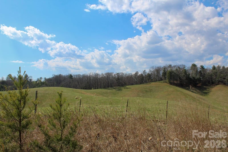 99999 Fletcher Martin Rd, Alexander, NC 28701