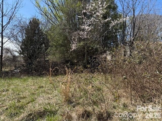 7 Pressley Branch Rd, Arden, NC 28704
