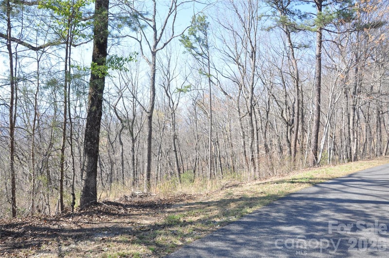TBD Mountain Crest Dr #41, Marion, NC 28752
