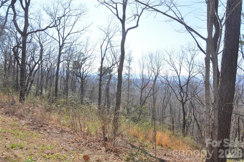 TBD Mountain Crest Dr #41, Marion, NC 28752