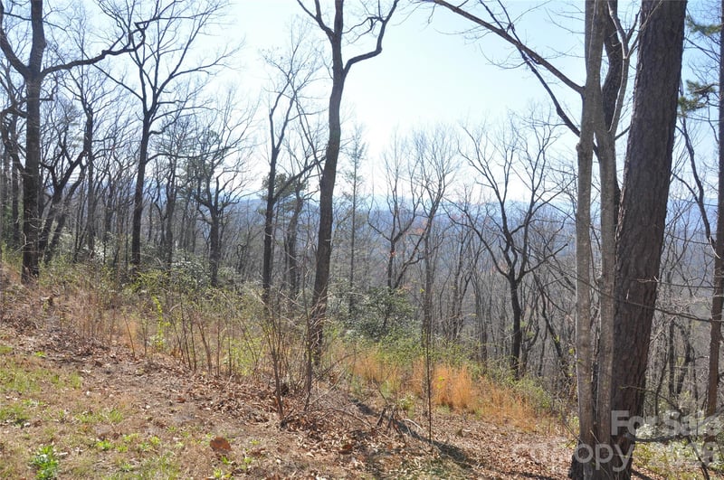 TBD Mountain Crest Dr #41, Marion, NC 28752