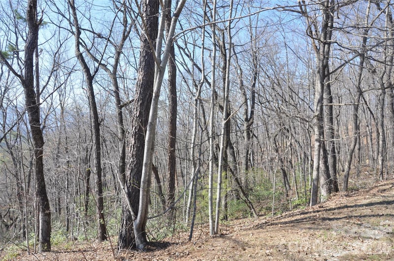 TBD Mountain Crest Dr #41, Marion, NC 28752