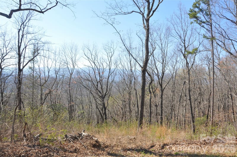 TBD Mountain Crest Dr #41, Marion, NC 28752